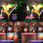 Steelie Bashment Presents Flex Out Bashy Girls Hype @ Club Amazura, Queens, New York